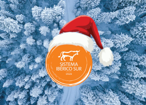 ¡No te Pierdas estos 5 pueblos mágicos! Planifica ya tu escapada para estas Navidades