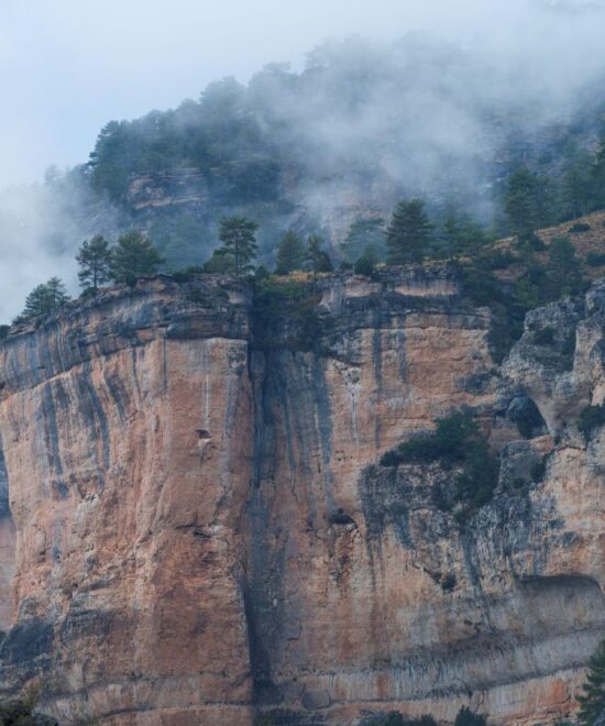 Cuatro estaciones en la montaña ibérica: vivir la naturaleza todo el año