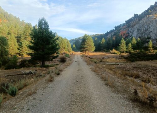 Cuando los caminos construían territorios: la red viaria del Sistema Ibérico Sur