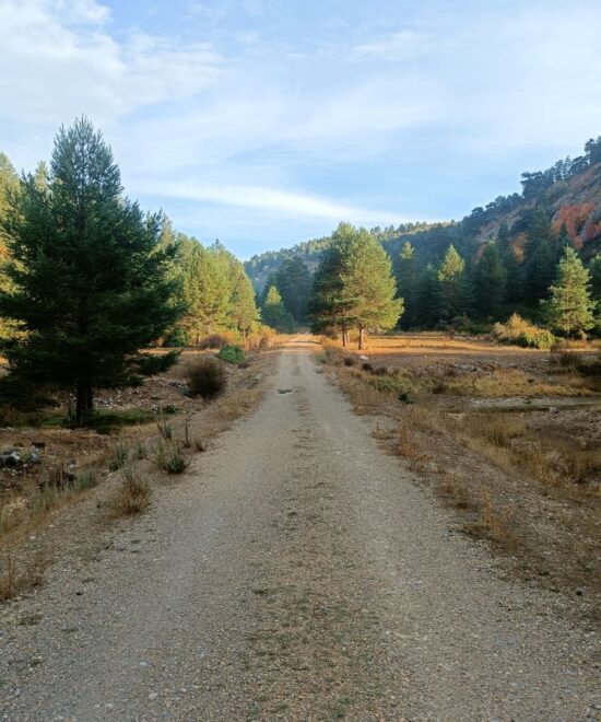 Cuando los caminos construían territorios: la red viaria del Sistema Ibérico Sur