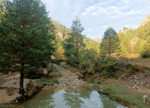 De cañones y parameras: una tierra de contrastes