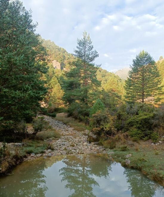De cañones y parameras: una tierra de contrastes
