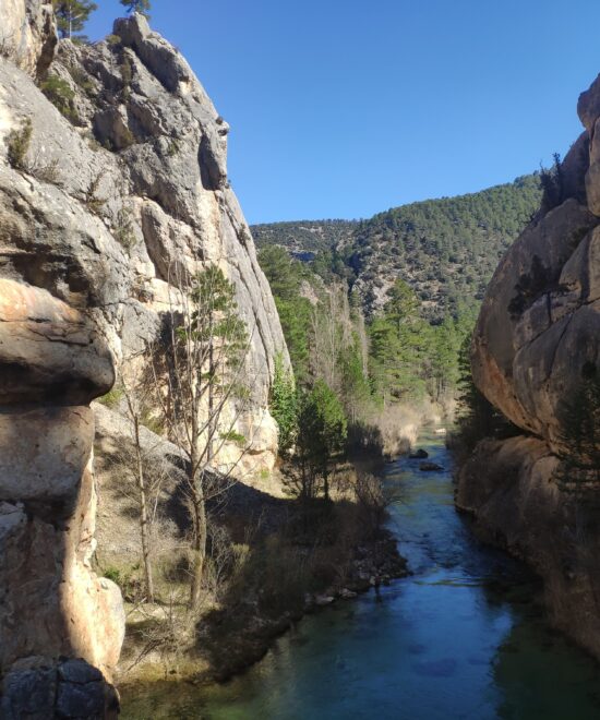 Refugio de biodiversidad: fauna y flora en el Sistema Ibérico Sur